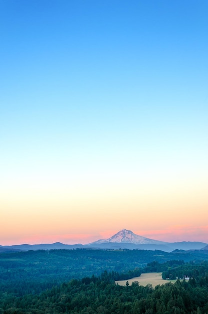 Photo scenic view of field against clear sky