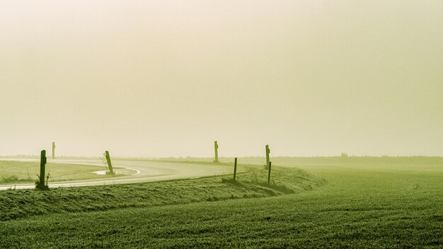 Scenic view of field against clear sky