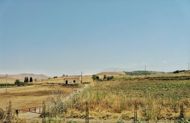 Foto vista panoramica del campo contro un cielo limpido