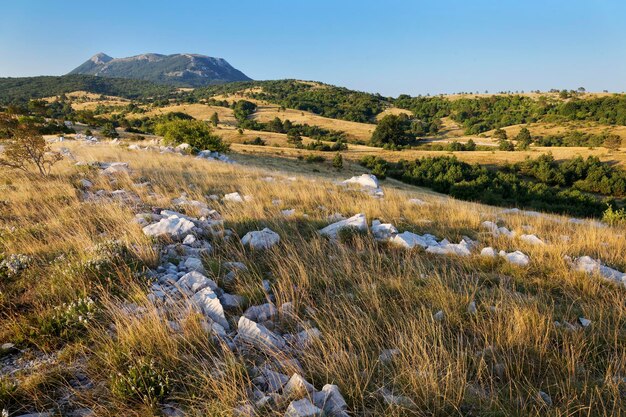 Vista panoramica del campo contro un cielo limpido