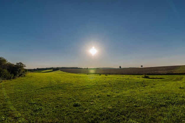 Scenic view of field against clear sky