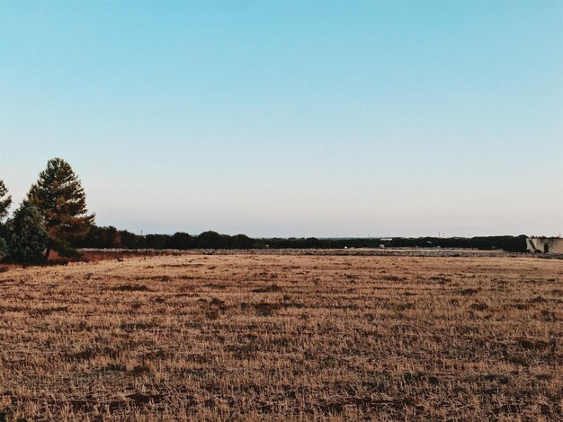 Photo scenic view of field against clear sky