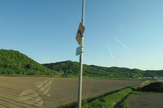 Scenic view of field against clear sky