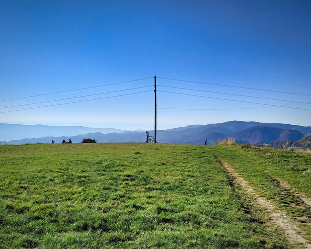 Scenic view of field against clear sky