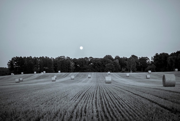 Photo scenic view of field against clear sky