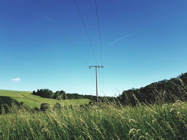 Foto vista panoramica del campo contro un cielo limpido