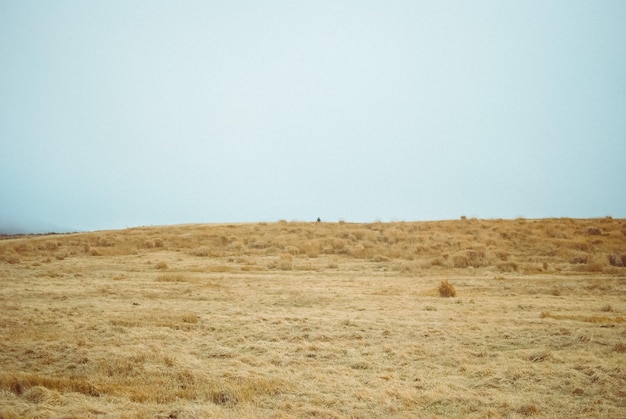 Photo scenic view of field against clear sky