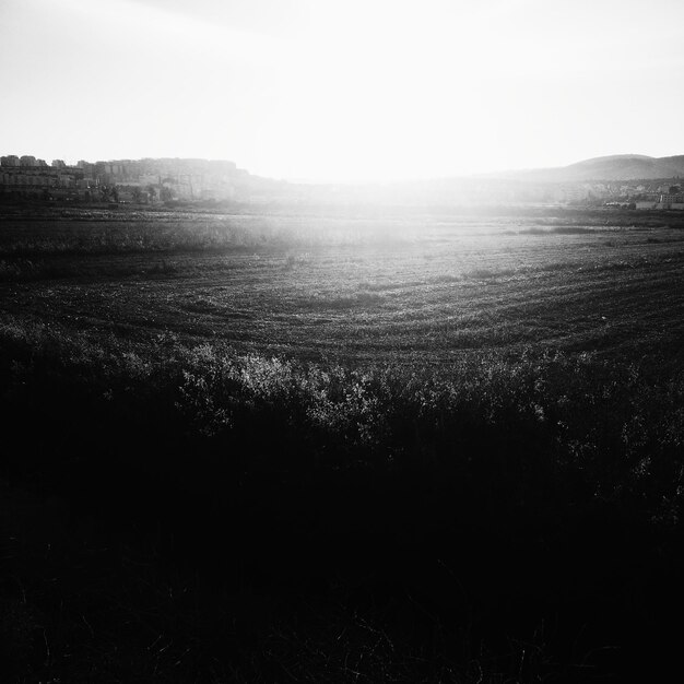 Scenic view of field against clear sky