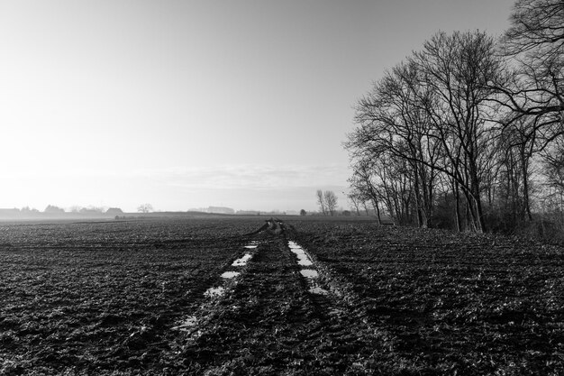 Photo scenic view of field against clear sky