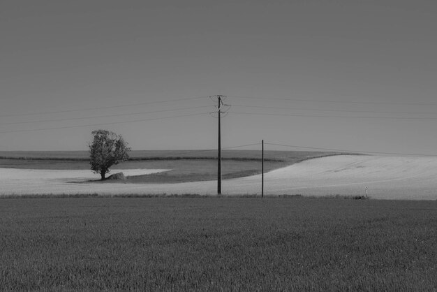 Scenic view of field against clear sky