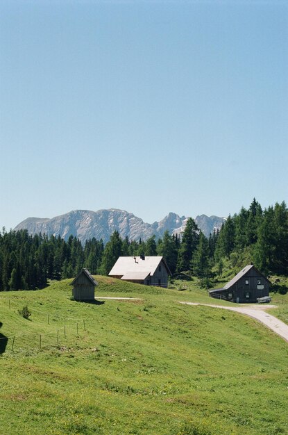 Foto vista panoramica del campo contro un cielo limpido