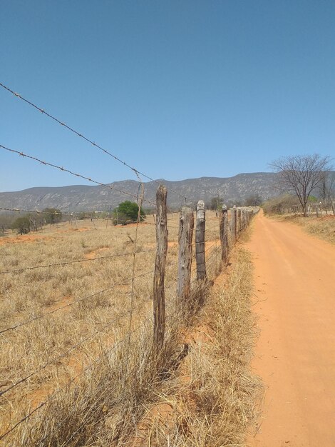 Foto vista panoramica del campo contro un cielo limpido