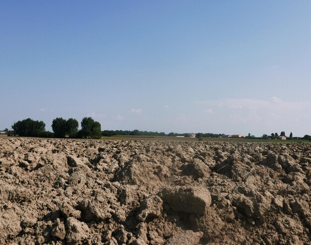 Scenic view of field against clear sky