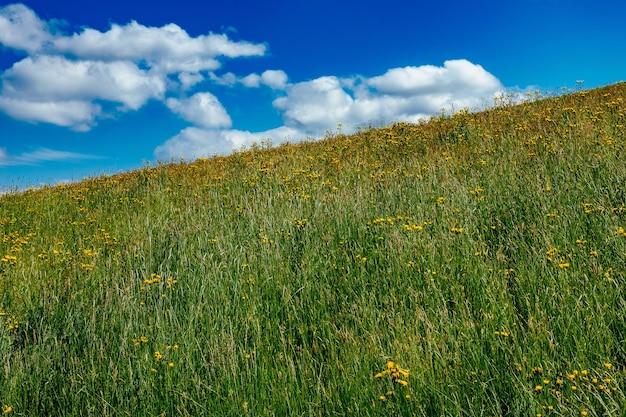 Photo scenic view of field against clear sky