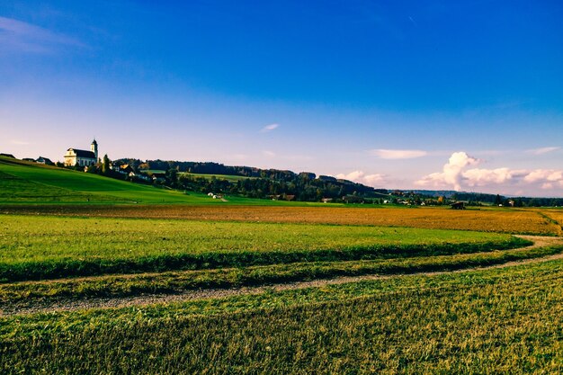 Scenic view of field against clear sky