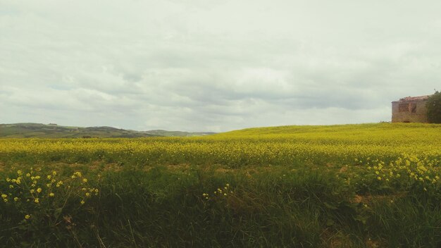 Photo scenic view of field against cloudy sky