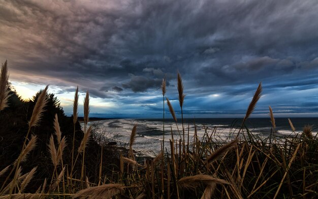 Photo scenic view of field against cloudy sky