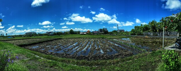 Scenic view of field against cloudy sky