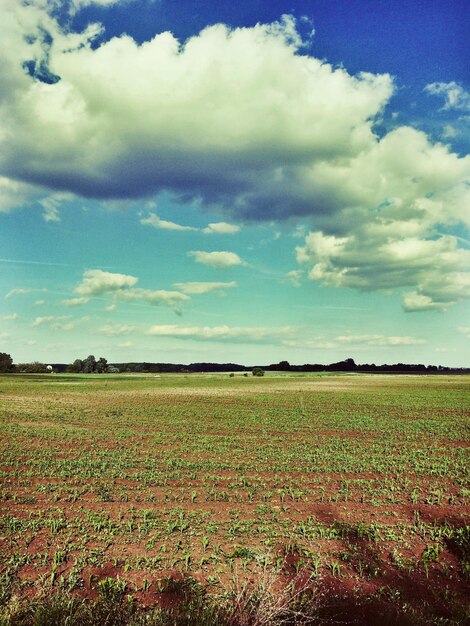 Scenic view of field against cloudy sky