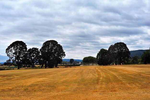 Scenic view of field against cloudy sky