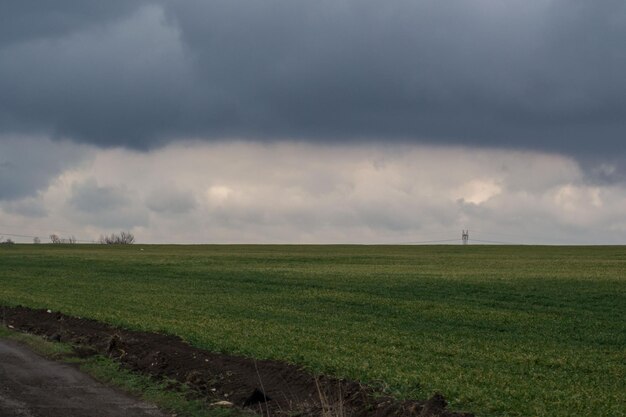 Photo scenic view of field against cloudy sky