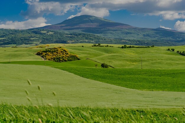 Foto vista panoramica del campo contro un cielo nuvoloso