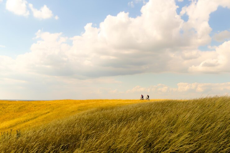 Photo scenic view of field against cloudy sky