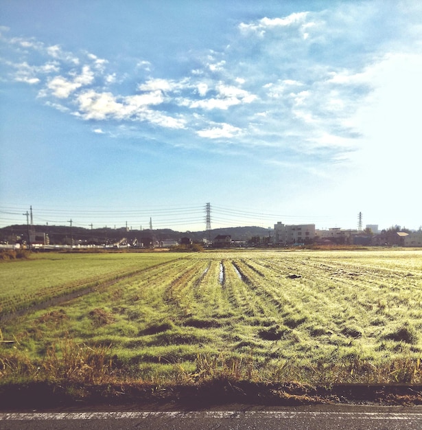 Photo scenic view of field against cloudy sky