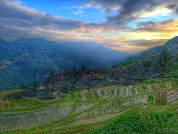 Scenic view of field against cloudy sky