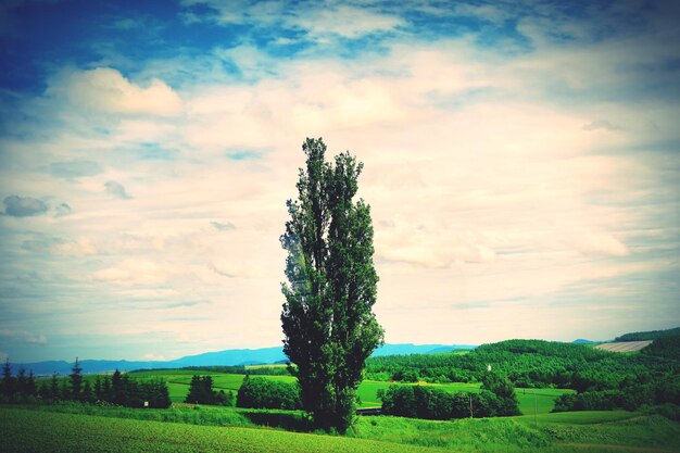 Foto vista panoramica del campo contro un cielo nuvoloso