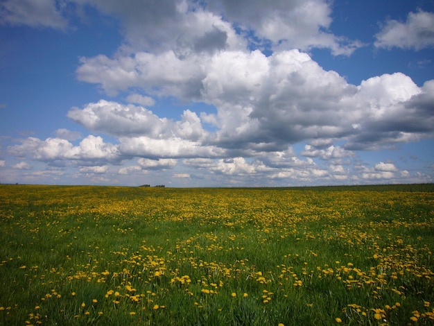 Photo scenic view of field against cloudy sky