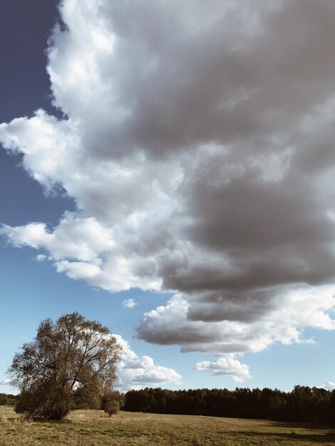 Foto vista panoramica del campo contro un cielo nuvoloso