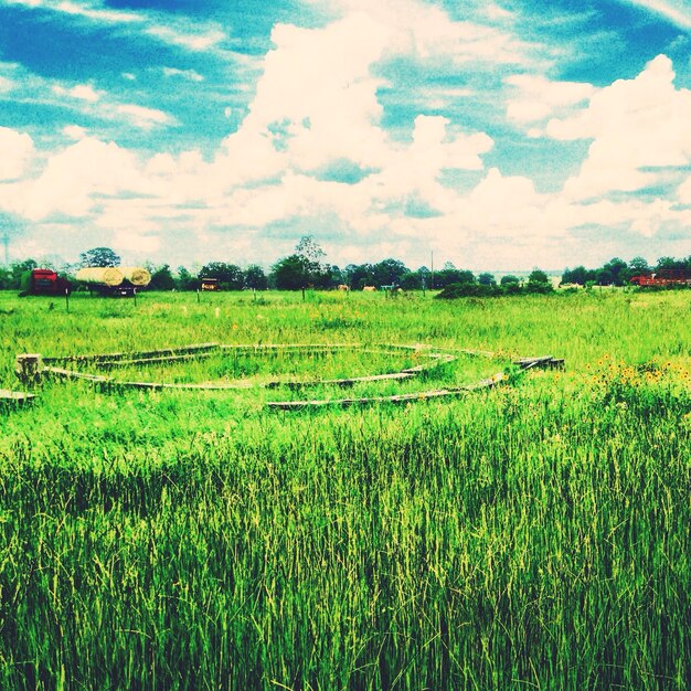 Scenic view of field against cloudy sky