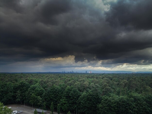 雲の空を背景に野原の景色