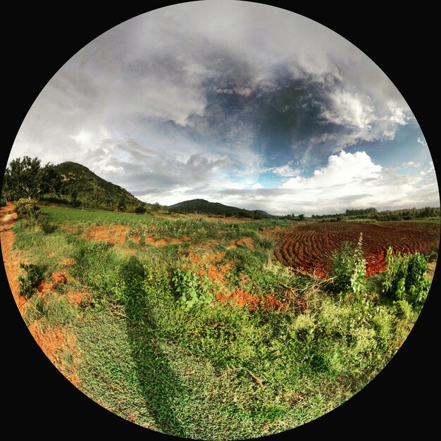 Photo scenic view of field against cloudy sky