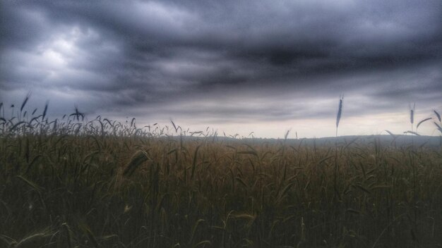 Photo scenic view of field against cloudy sky