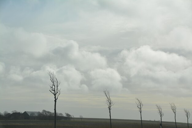 Scenic view of field against cloudy sky