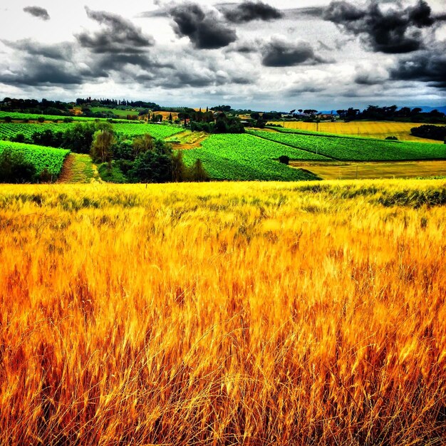 Scenic view of field against cloudy sky