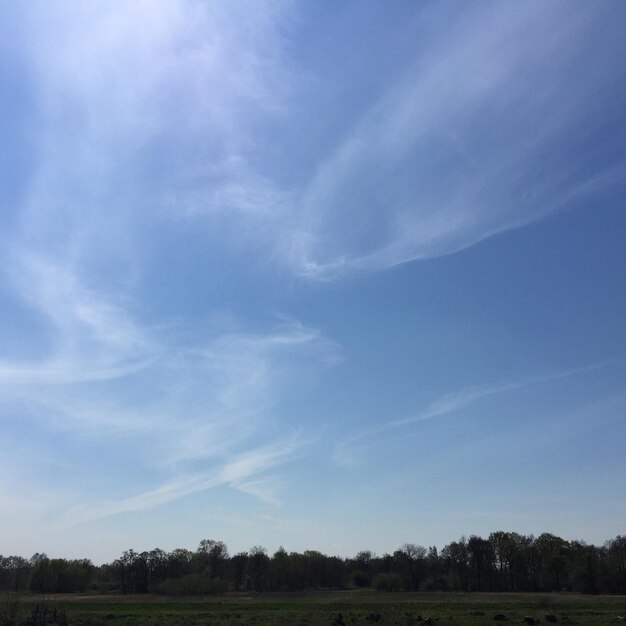 Scenic view of field against cloudy sky