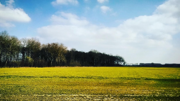 Photo scenic view of field against cloudy sky