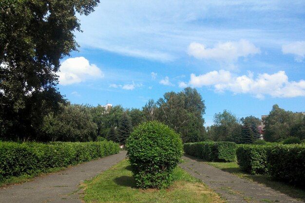 Scenic view of field against cloudy sky