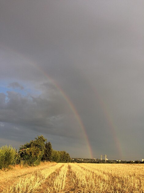 Scenic view of field against rainbow in sky