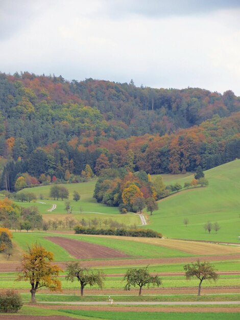 Scenic view of field against sky during autumn