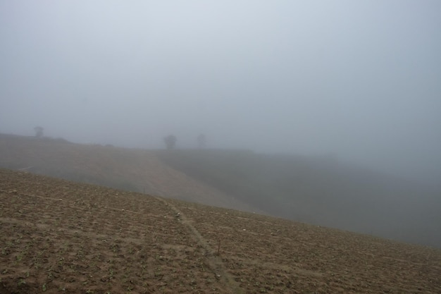 Photo scenic view of field against sky during foggy weather