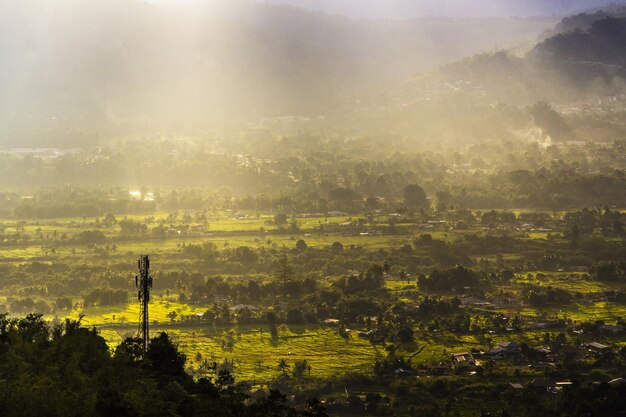 Photo scenic view of field against sky during foggy weather