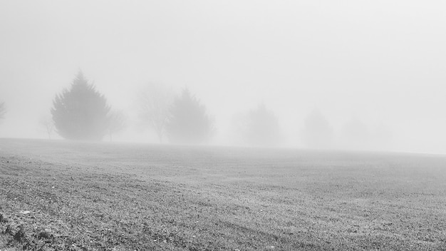 Photo scenic view of field against sky during foggy weather