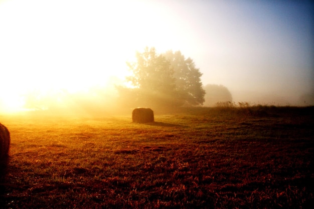 Foto vista panoramica del campo contro il cielo durante il tempo nebbioso