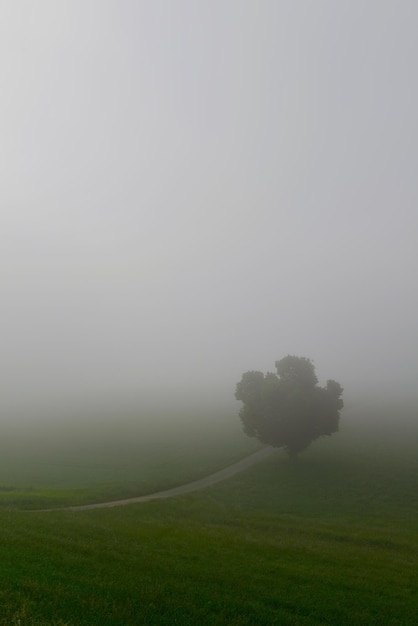 Photo scenic view of field against sky during foggy weather