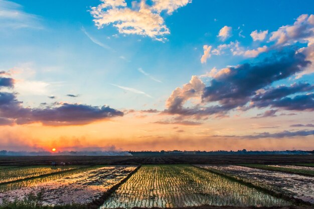 Foto vista panoramica del campo contro il cielo durante il tramonto