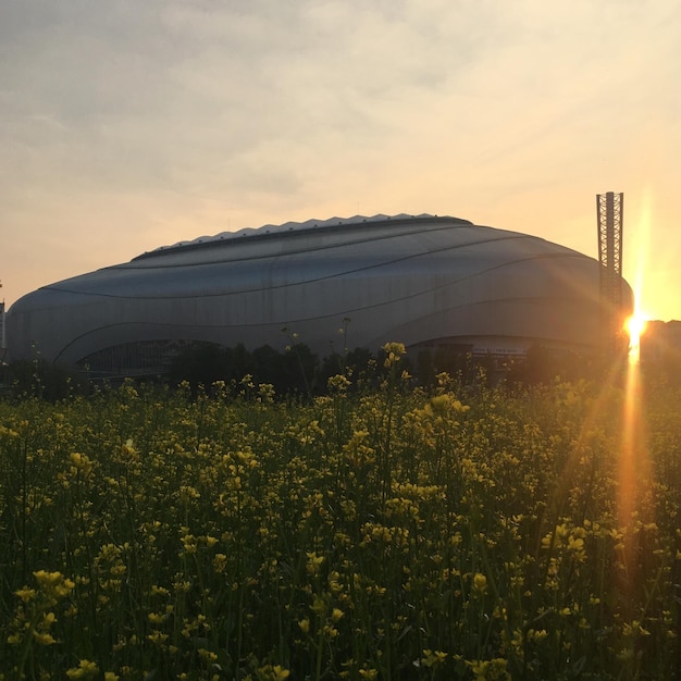 Foto vista panoramica del campo contro il cielo durante il tramonto